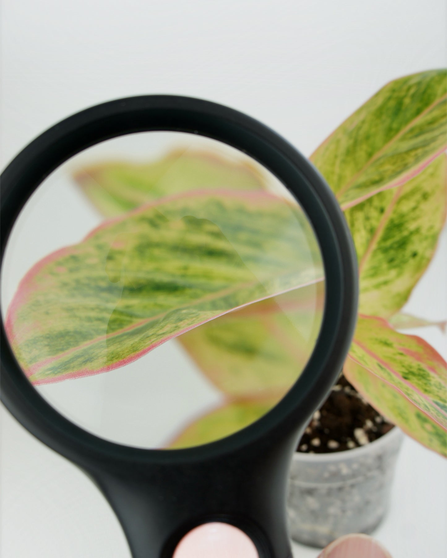 Loupe double lentille avec LED