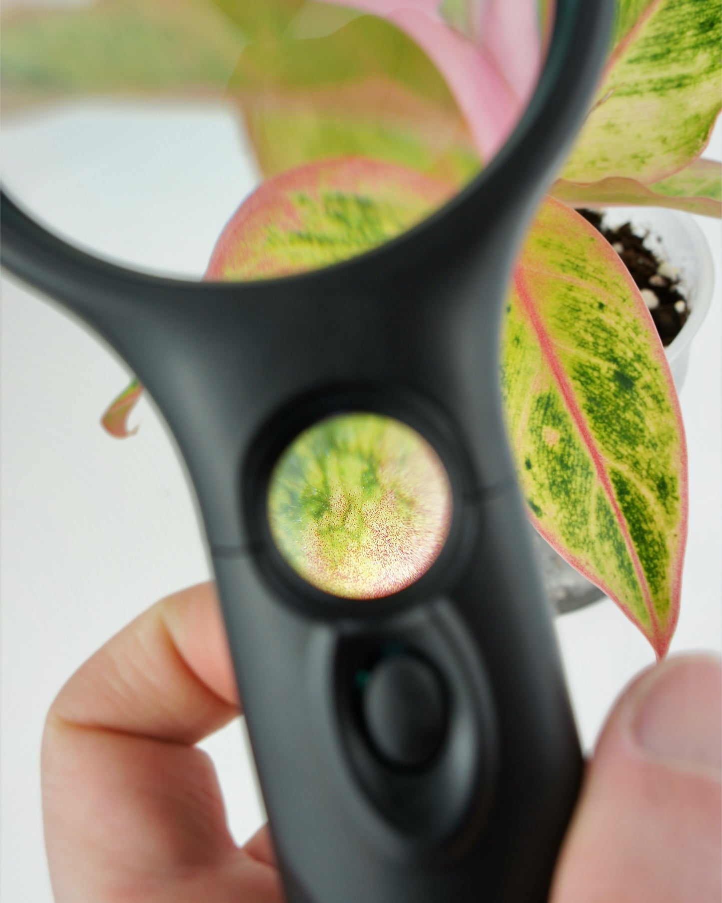 Loupe double lentille avec LED