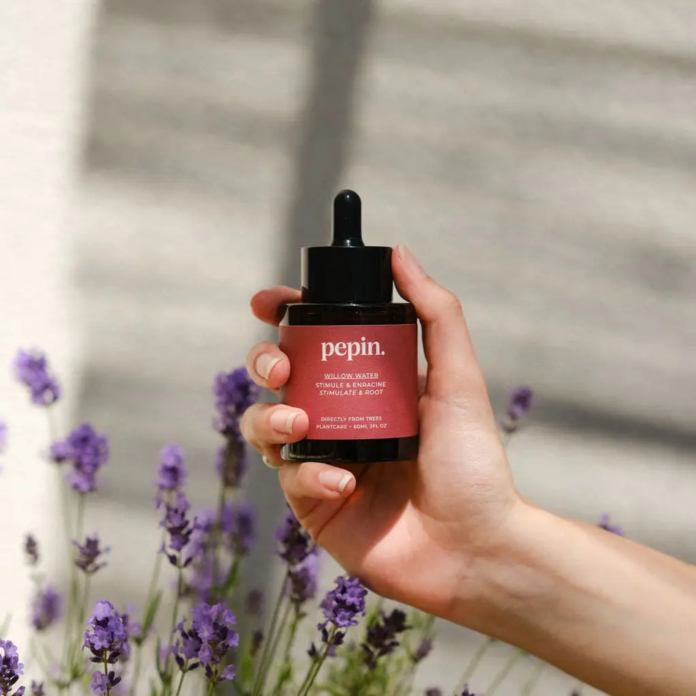 Eau de Saule 60 ml - Bouturage et Stimulant racines