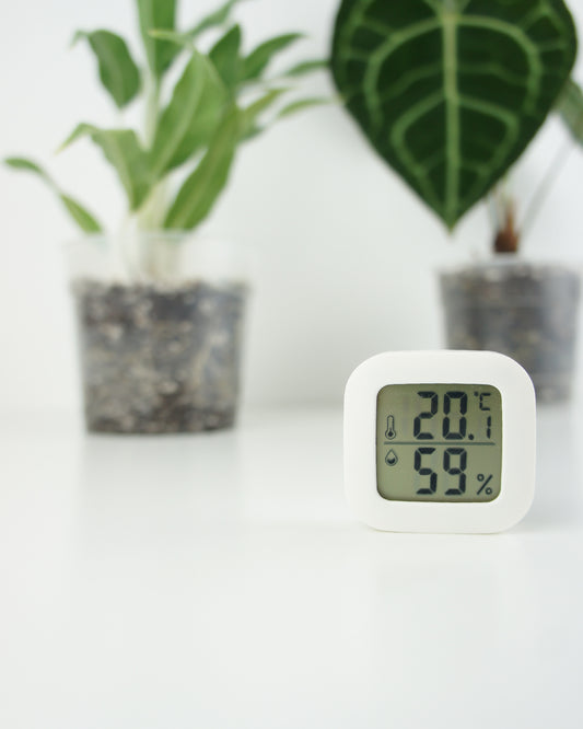 Thermomètre d'intérieur avec Taux d'humidité