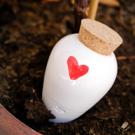 Olla terre cuite - Cœur