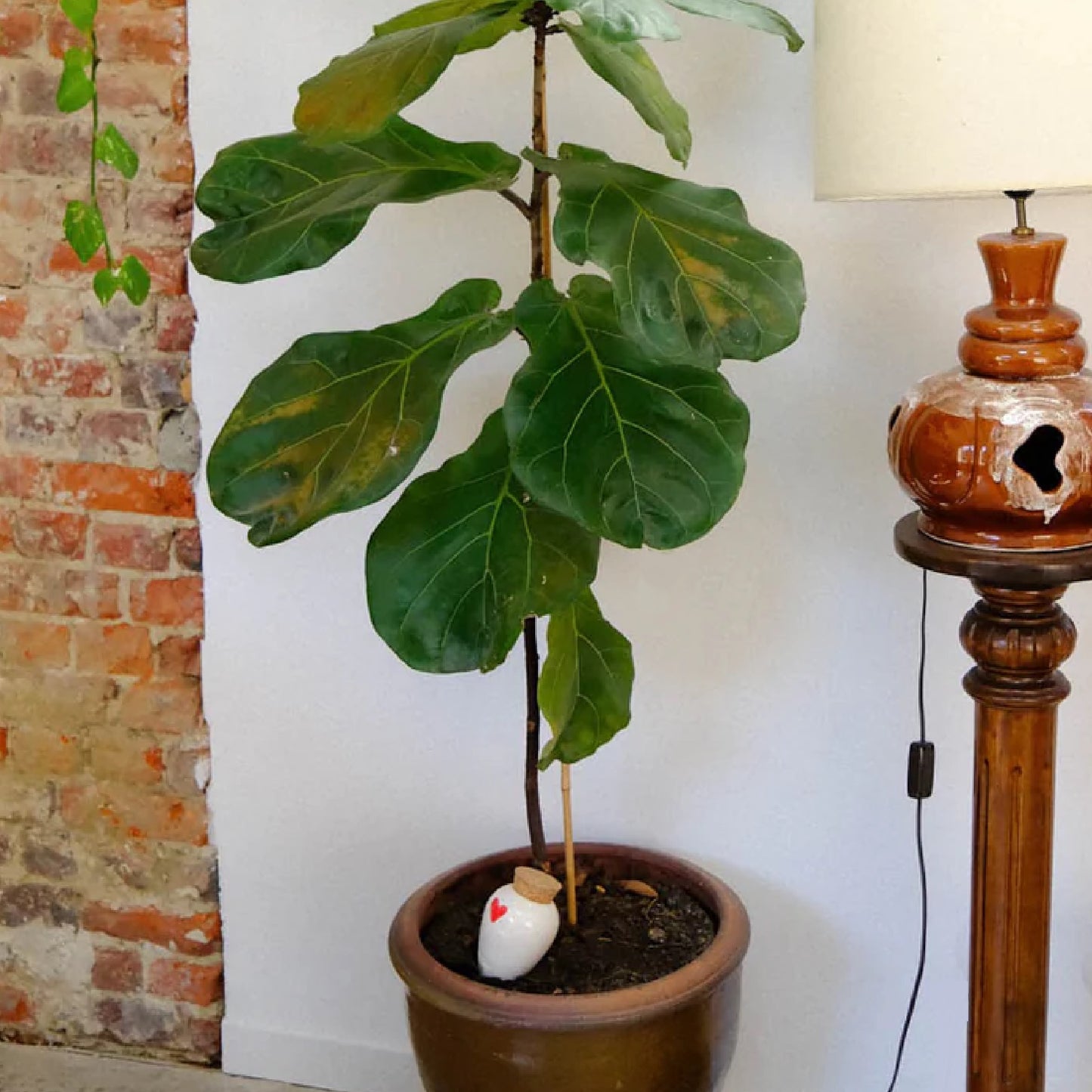 Olla terre cuite - Cœur