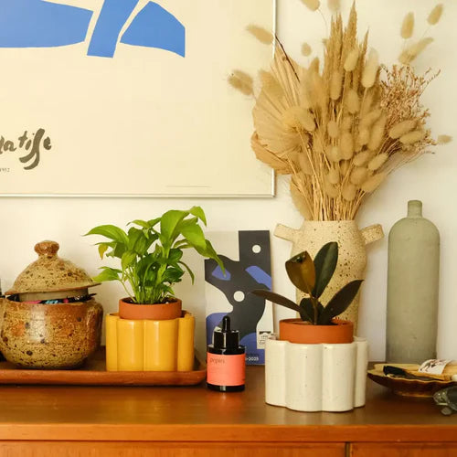 Pot à réserve d'eau - Terracotta - Blanc Grainé