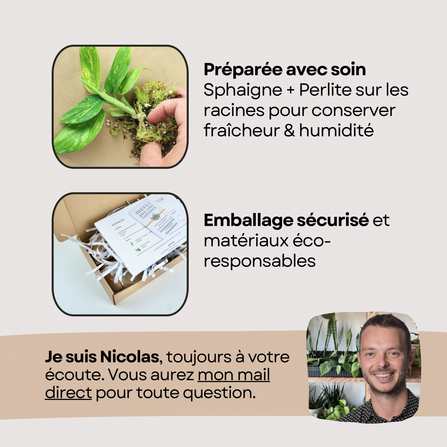 Trio Surprises - 3 mini-plantes