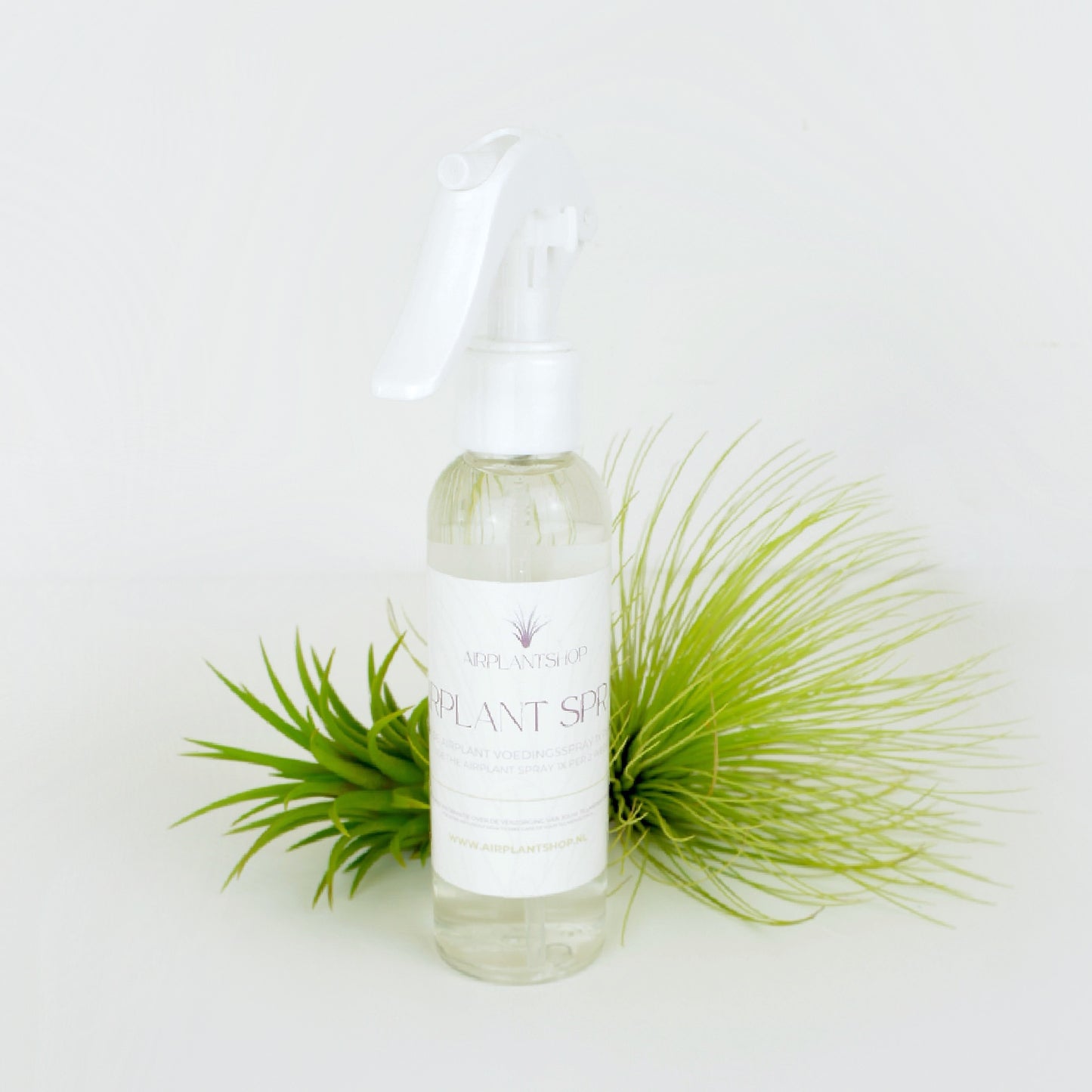 Spray Nutritif - Engrais foliaire tillandsia
