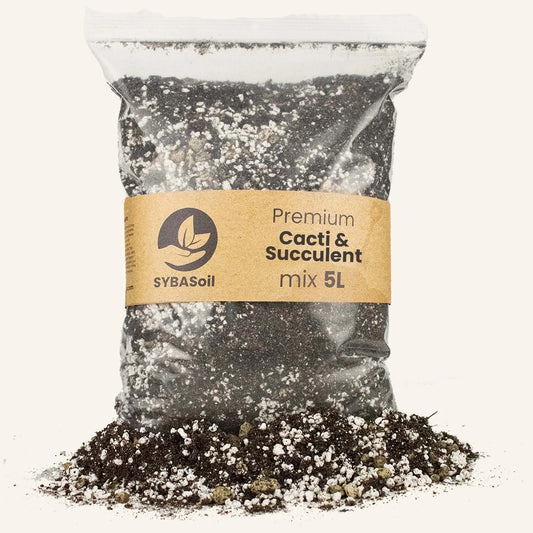 Cactus et succulentes Mix 5L - Substrat Premium