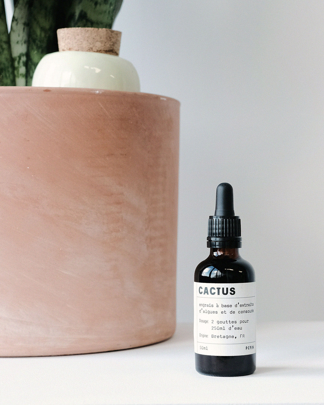 Engrais Cactus et Plantes grasses - 50 ml