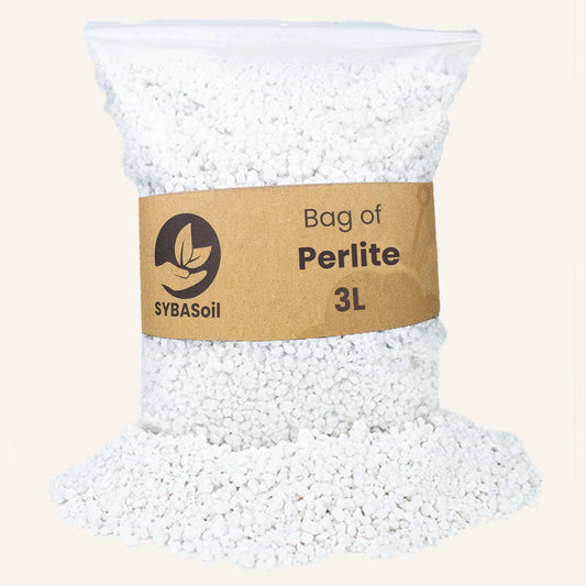 Perlite - sac 3L - Amendement substrat