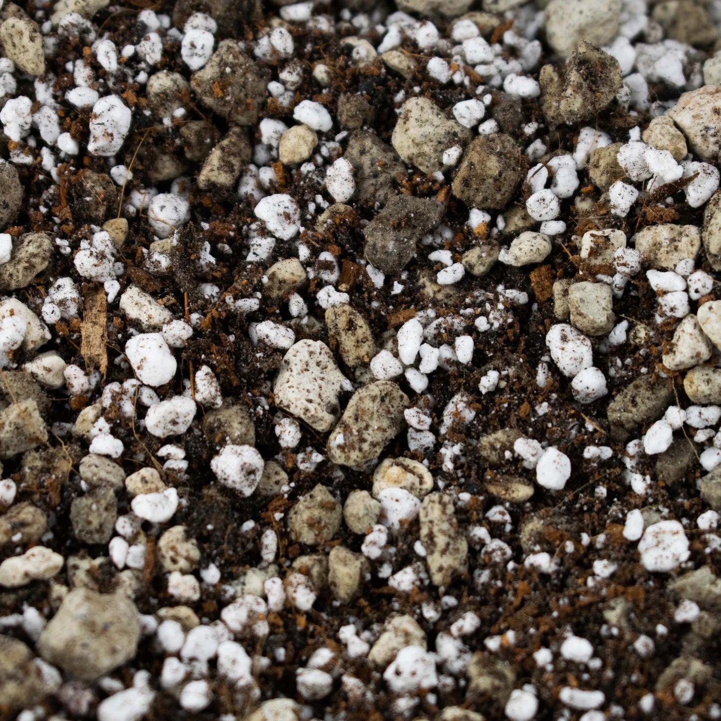 Bonsai Mix 5L - Substrat Premium