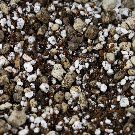 Bonsai Mix 5L - Substrat Premium