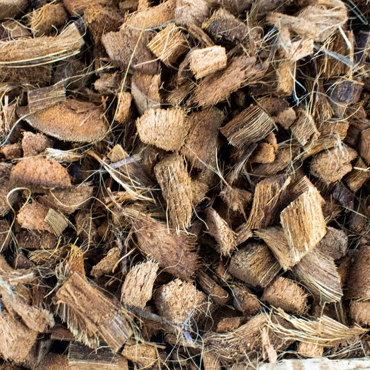 Ecorce de coco 3L - Texture et aération du substrat