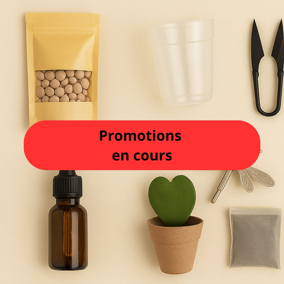 Promotions et fin de collection