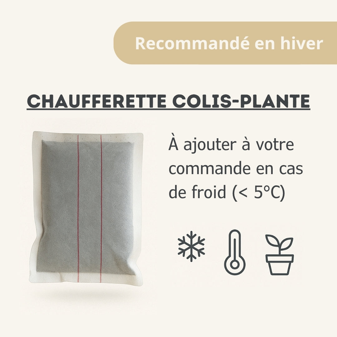 Chaufferette_colis-plante