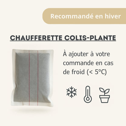 Chaufferette_colis-plante