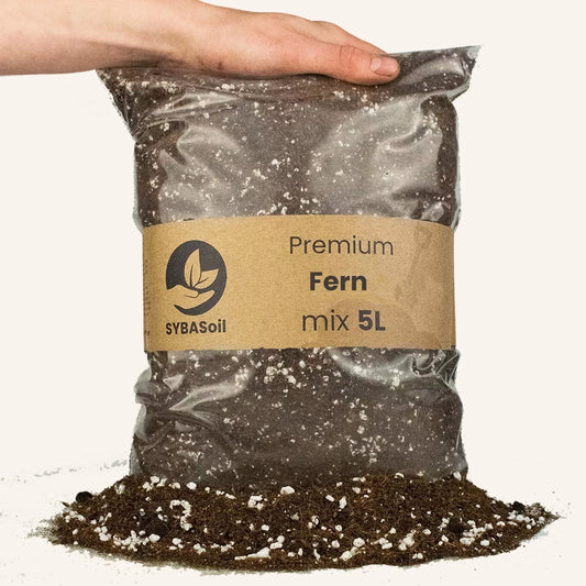 Fern Mix 5L - Substrat Premium Fougères