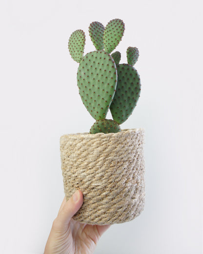 Cache-pot panier jute 12cm