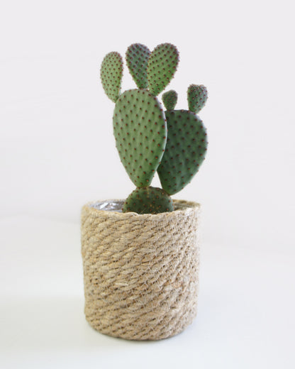 Cache-pot panier jute 12cm