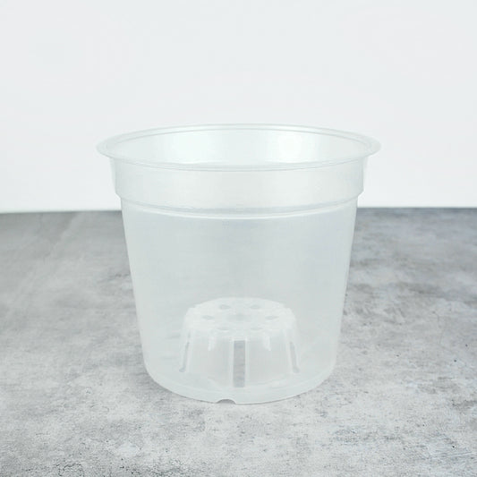 Pot transparent - 15 cm