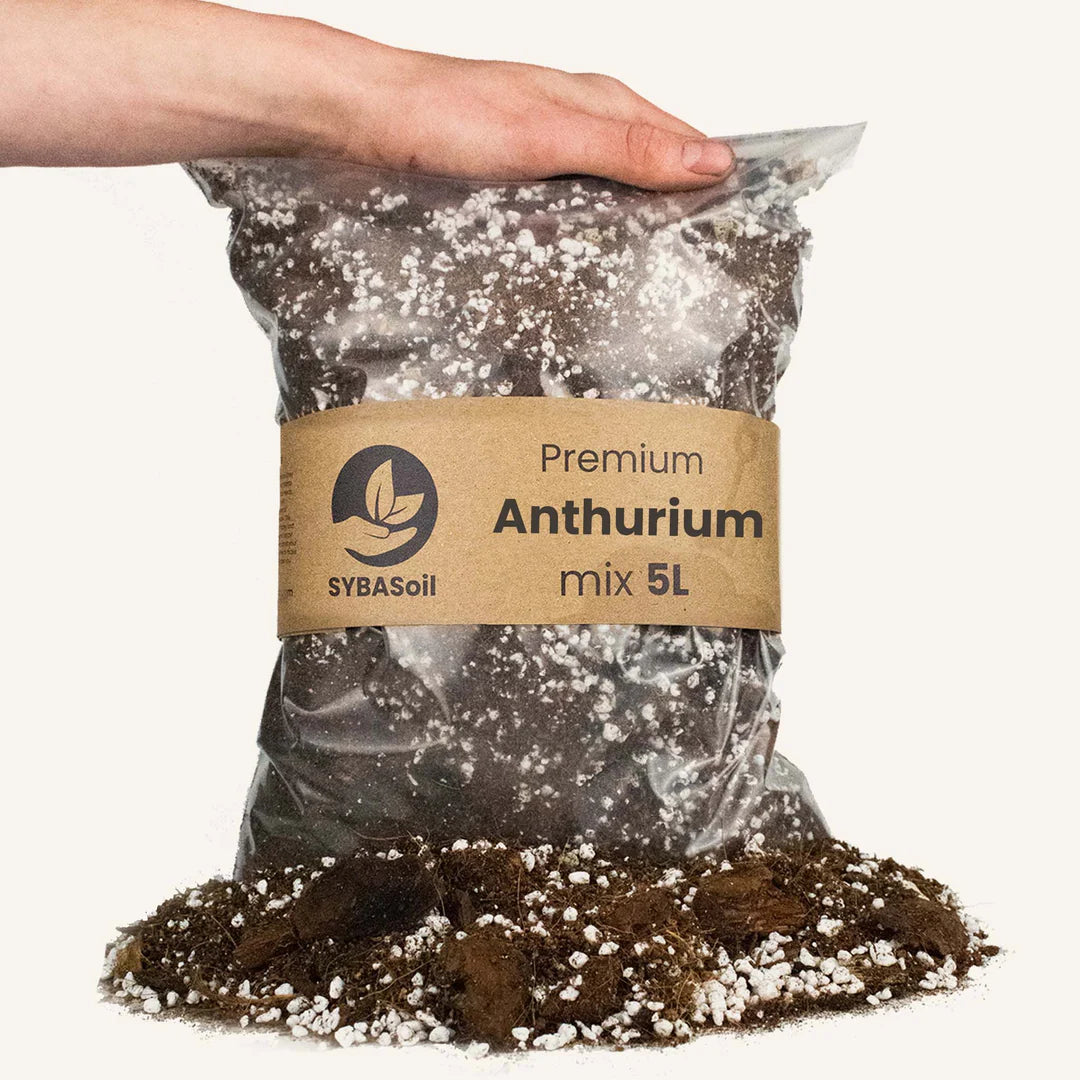 Anthurium Mix - sac 5L - Substrat Premium