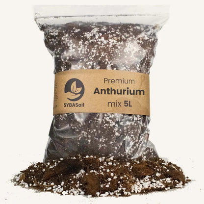 Anthurium Mix 5L - Substrat Premium