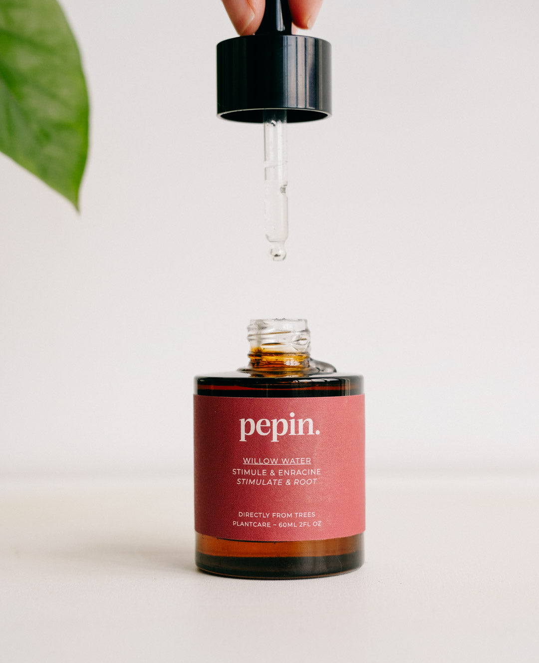 Eau de Saule 60 ml - Bouturage et Stimulant racines