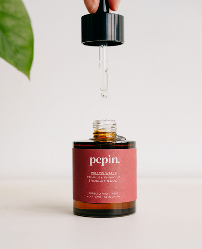 Eau de Saule 60 ml - Bouturage et Stimulant racines