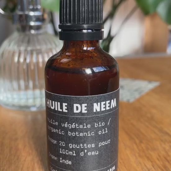 Extrait botanique d'huile de neem, neem — Plantamus Pépinière en ligne