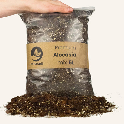 Alocasia Mix 5L - Substrat Premium