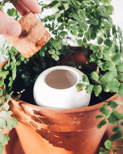 Olla terre cuite émaillée - Vert Tendre