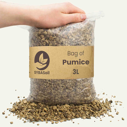 Pumice - 3L - 1-8 mm