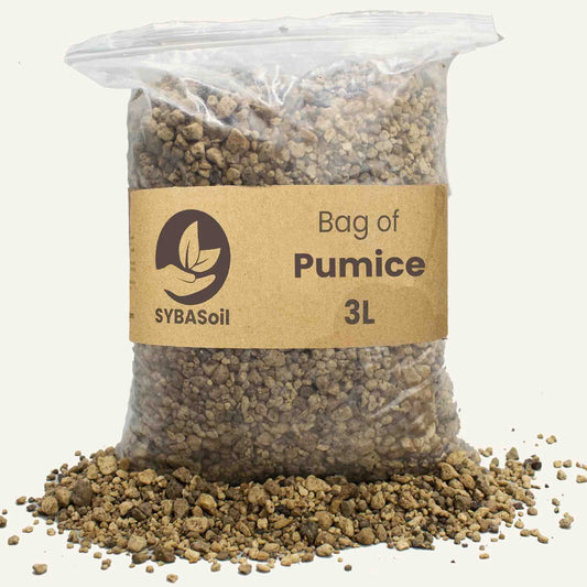 Pumice - 3L - 1-8 mm