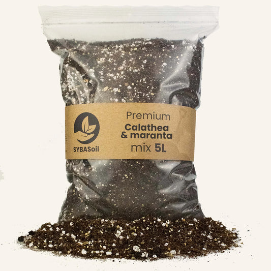 Calathea Mix - sac 5L - Substrat Premium Calathea, Maranta
