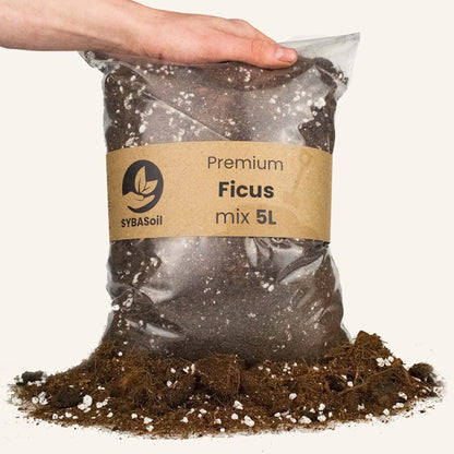 Ficus Mix 5L - Substrat Premium Ficus