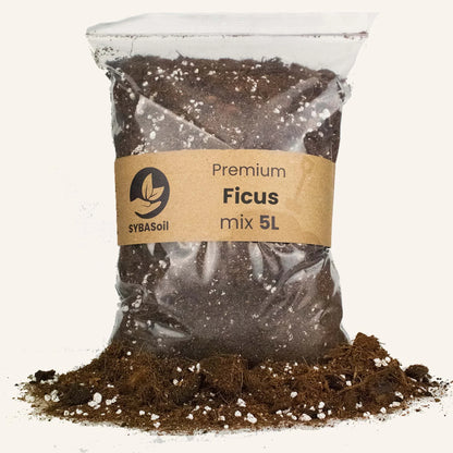 Ficus Mix 5L - Substrat Premium Ficus