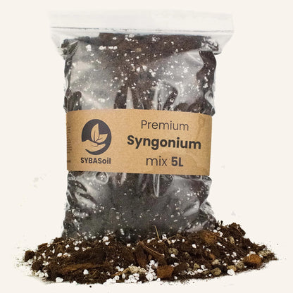 Syngonium Mix 5L - Substrat Premium