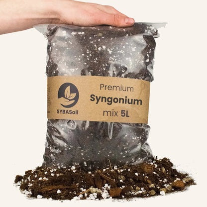 Syngonium Mix 5L - Substrat Premium