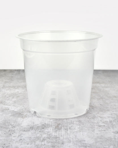 Pot transparent - 17 cm