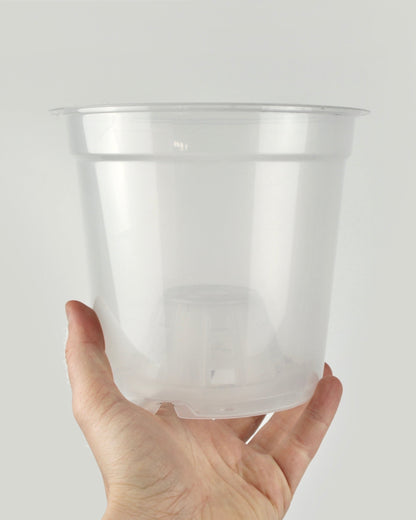 Pot transparent - 17 cm