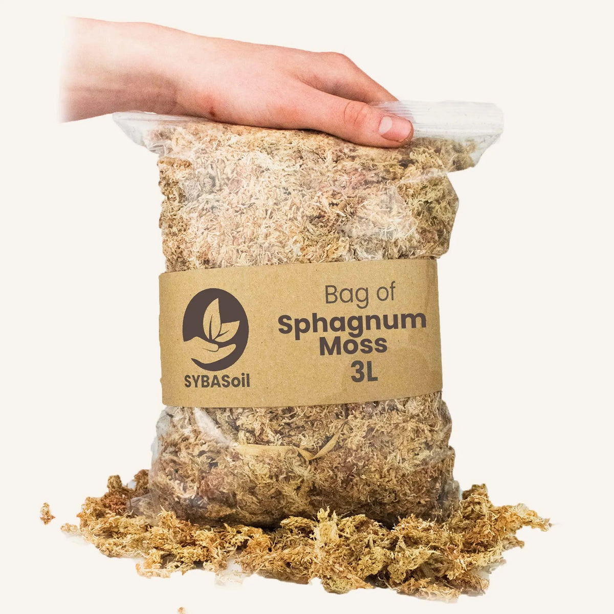 Mousse De Sphaigne Fraîche Vivante 2kg Deuxième Choix - Pour Orchidées Et Terrariums