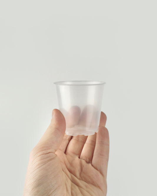 Pot transparent - 6 cm